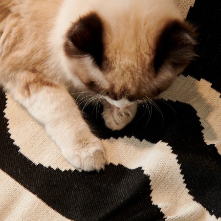 Cobertura para Sofá Anti-Pelos - PetPremium